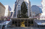 'Este año, sentimos que el árbol es vital', dijo en un comunicado Rob Speyer, el consejero delegado de Tishman Speyer, la compañía propietaria del Rockefeller Center.