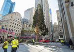 'El árbol del Rockefeller Center representa la época navideña, pero también ha sidoun símbolo de esperanza, resiliencia, y el imperecedero espíritu de Nueva York, desde la Gran Depresión, el 11 S, la supertormenta Sandy y hasta hoy', agregó Speyer, que subrayó que 2020 ha sido un 'año difícil'.