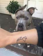 Tatuajes mascotas 