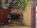 La casona que descansa bajo el cerro en Torreón