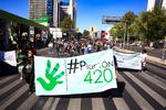 Demandan ley sobre marihuana que respete derechos en México