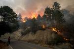 Perales explicó que 'si hay riesgo por el humo, que está muy denso en la zona', podría haber unas 300 evacuaciones más en las comunidades de la sierra, aunque de momento no hay heridos., Combaten incendio forestal en Sierra de Arteaga