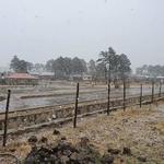 En plena primavera nevada sorprende a chihuahuenses en El Vergel