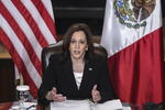 Presidente de México y vicepresidenta de EUA se reunieron virtualmente para hablar sobre migración como tema central