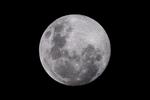 Luna llena de mayo

Luna llena vista desde hoy 25 de mayo de 2021 desde El Siglo de Torreón en Av. Acuña y Matamoros, Torreó Centro, Coahuila.

Jorge Martínez Mauricio
Torreón
Coahuila 
México

moon, luna llena, luna de mayo