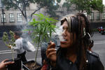 Suprema Corte de Justicia de México tumba prohibición del consumo lúdico de la marihuana