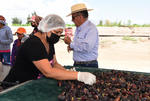 Emprendedora trabaja para convertir a La Laguna en la primera productora de higo a nivel internacional