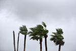 Tormenta tropical 'Nicholas' se mueve con dirección hacia Texas; tocará tierra hoy