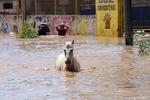 Tras paso de 'Pamela' en Nayarit reportan al menos dos desaparecidos e inundaciones