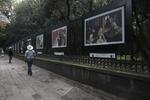 Muestra itinerante del Museo Nacional del Prado llega a la Ciudad de México