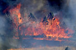 Por incendios forestales evacuan dos ciudades en Colorado