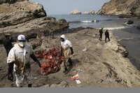 Crudo derramado por refinería de Repsol cubre playas de Perú