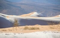 Desierto del Sahara se tiñe de blanco con nevada