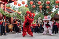 Asia celebra Año Nuevo Lunar