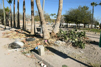 Plaza principal en Prados del Oriente, tiradero de ramas y basura