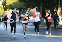 Fotos del Medio Maratón y 5K de El Siglo de Torreón, edición centenario