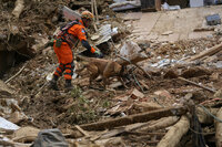 A rescue worker using a sniffer dog looks for victims in an area affected by landslides in Petropolis, Brazil, Thursday, Feb. 17, 2022.  Deadly floods and mudslides swept away homes and cars, but even as families prepared to bury their dead, it was unclear how many bodies remained trapped in the mud. (AP Photo/Silvia Izquierdo)