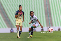 Cinthya Peraza #10, Media, Santos