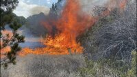 Continúa activo incendio forestal en Arteaga