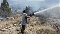Continúa activo incendio forestal en Arteaga