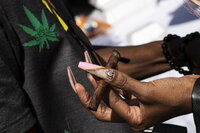 Día Internacional de la Marihuana ¿Cuál es el significado del 420?