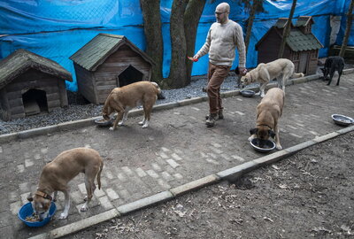 Hombre construye 'arca de Noé' en su casa para animales abandonados