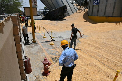 Derrumbe de silo con alimento para ganado en Torreón
