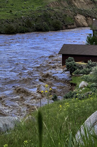 Parque Yellowstone sufre inundaciones y visitantes son evacuados