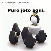 Tunden con memes a Luz María tras cancelar eventos en Torreón y otras ciudades