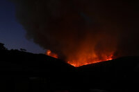 Evacuan a cientos por incendio forestal en capital de Grecia