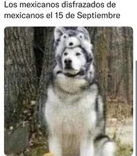 Reciben el 15 de septiembre con memes