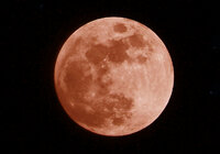 Así se vivió el eclipse de 'Luna de Sangre'