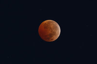 Así se vivió el eclipse de 'Luna de Sangre'
