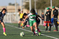 Tania Baca