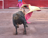 Lucen jóvenes espadas en la Plaza de Toros Alberto Balderas en Ciudad Lerdo