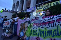 Protestan contra bomberos asesinos de perros en Monclova