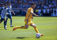 Tigres se queda el Campeón de Campeones