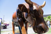 Cow Parade Torreón 2023