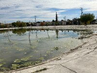 Colonia Rincón La Merced. Los drenajes colapsados son un problema
añejo. Los vecinos de los distintos sectores de la ciudad, tienen que
hacer su día a día con el brote de aguas negras.