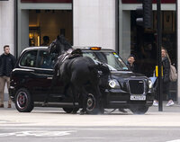 A horse collides with a taxi in London near Aldwych, on Wednesday April 24, 2024. Several military horses bolted during routine exercises near King Charles III's main residence in London on Wednesday and ran loose through the center of the city, injuring at least four people and colliding with vehicles during the morning rush hour. (Jordan Pettitt/PA via AP), Caballos se dan a la fuga en Londres