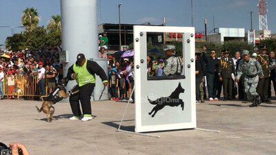 Desfile cívico militar en Torreón