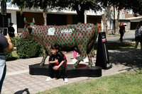 Inauguran exposición Cow Parade en el Paseo Colón de Torreón