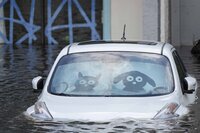 A water rescue team member walks through flood waters at an apartment complex in the aftermath of Hurricane Milton, Thursday, Oct. 10, 2024, in Clearwater, Fla. (AP Photo/Mike Stewart)