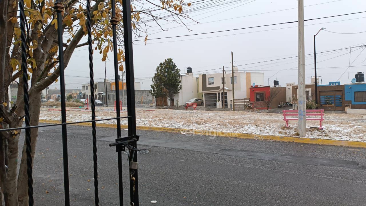 Saltillo se cubre de blanco con nevada