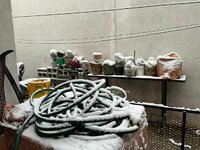 Saltillo se cubre de blanco con nevada