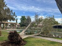 Fuertes ráfagas de viento dejan sin luz y afectaciones a sectores de Torreón