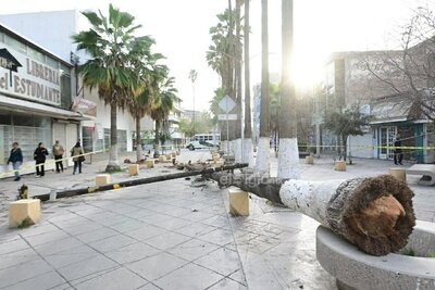 Fuertes ráfagas de viento dejan sin luz y afectaciones a sectores de Torreón