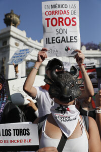 Congreso de Ciudad de México aprueba corridas de toros 'sin violencia'