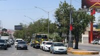 Evalúan árboles antes de ser retirados por obra del Sistema Vial Abastos Independencia