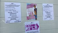 Doble elección en región Lagunera al disputarse Ayuntamientos en Durango y cargos judiciales